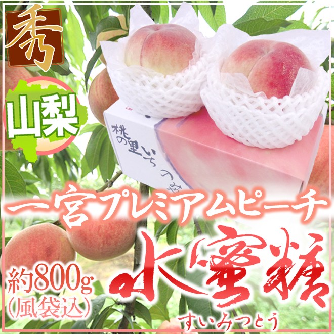 山梨県産 ”一宮 プレミアムピーチ 水蜜糖” 2玉入り 約800g（風袋込