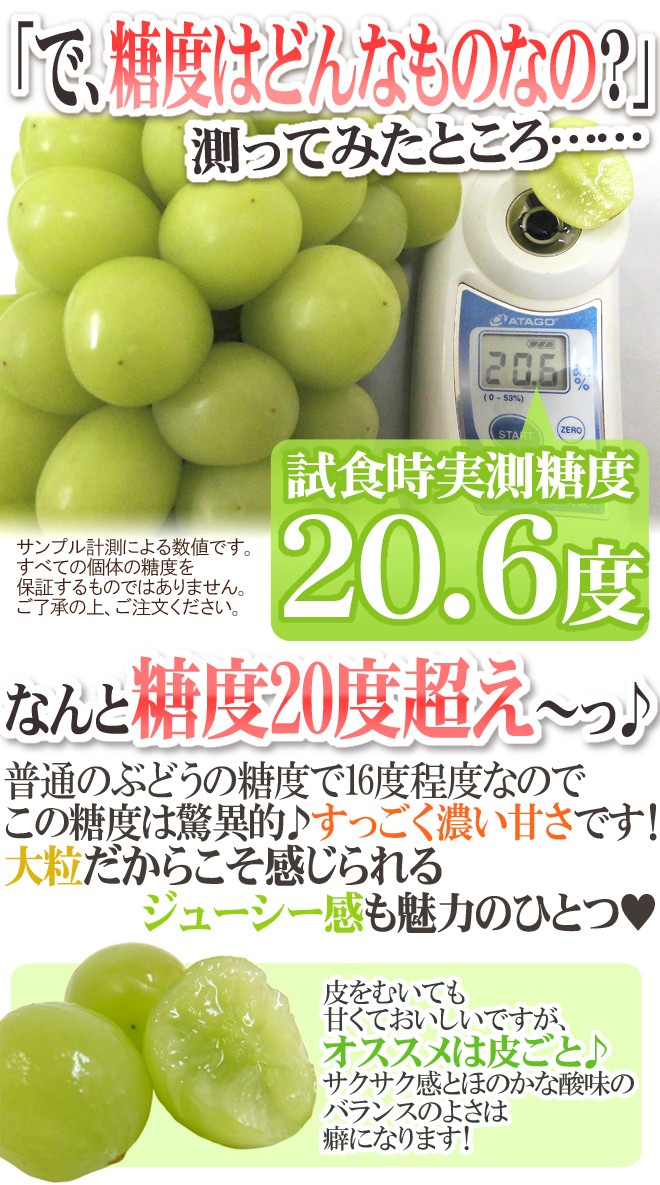 山梨産 ”シャインマスカット「匠の葡萄」” 超大房約750g 1房 化粧箱