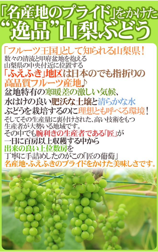 山梨産 ”シャインマスカット「匠の葡萄」” 超大房約750g 1房 化粧箱