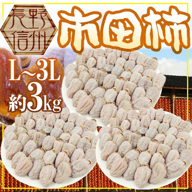 長野・南信州産 市田柿” L〜3L 約3kg【予約 12月中旬以降】 送料無料