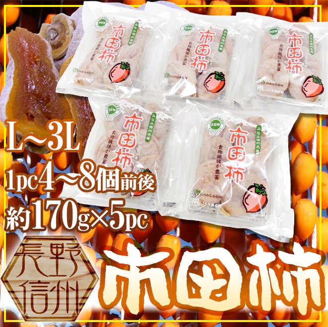 ここあ様専用 市田柿 長野県産 南信州産 ５キロ www.esap.cl