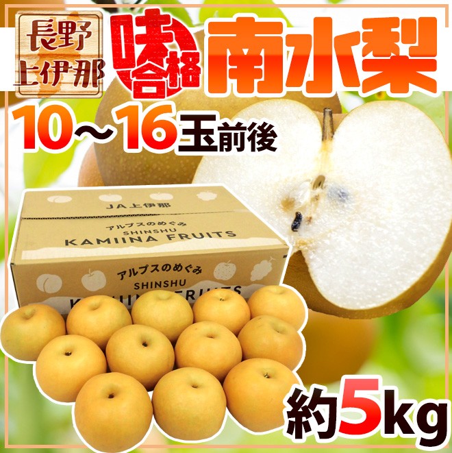 長野県 JA上伊那 ”味合格 南水梨” 10〜16玉前後 約5kg 特秀品（味合格