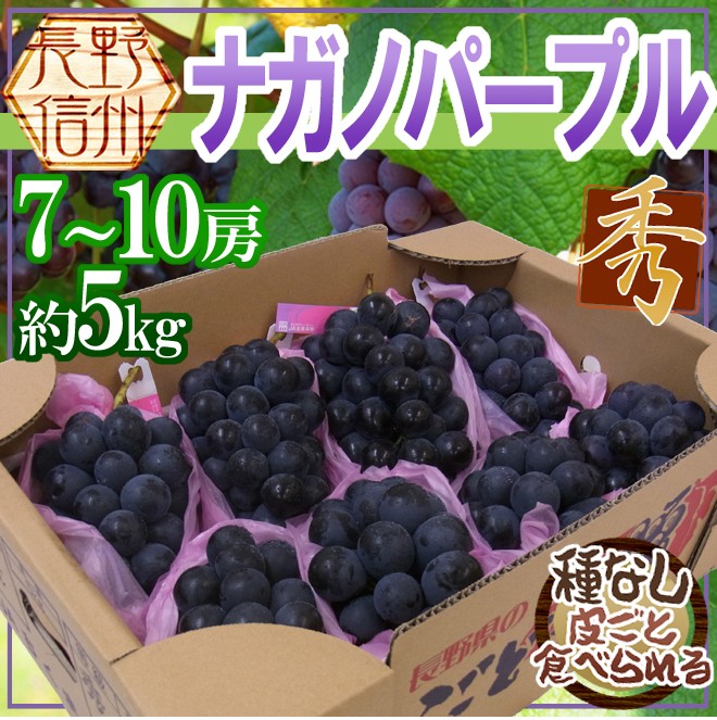 ぶどう 長野産 ”ナガノパープル” 秀品 7〜10房 約5kg【予約 9月以降