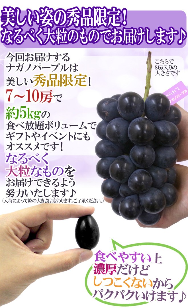 ぶどう 長野産 ”ナガノパープル” 秀品 7〜10房 約5kg【予約 9月以降】[M1] 送料無料