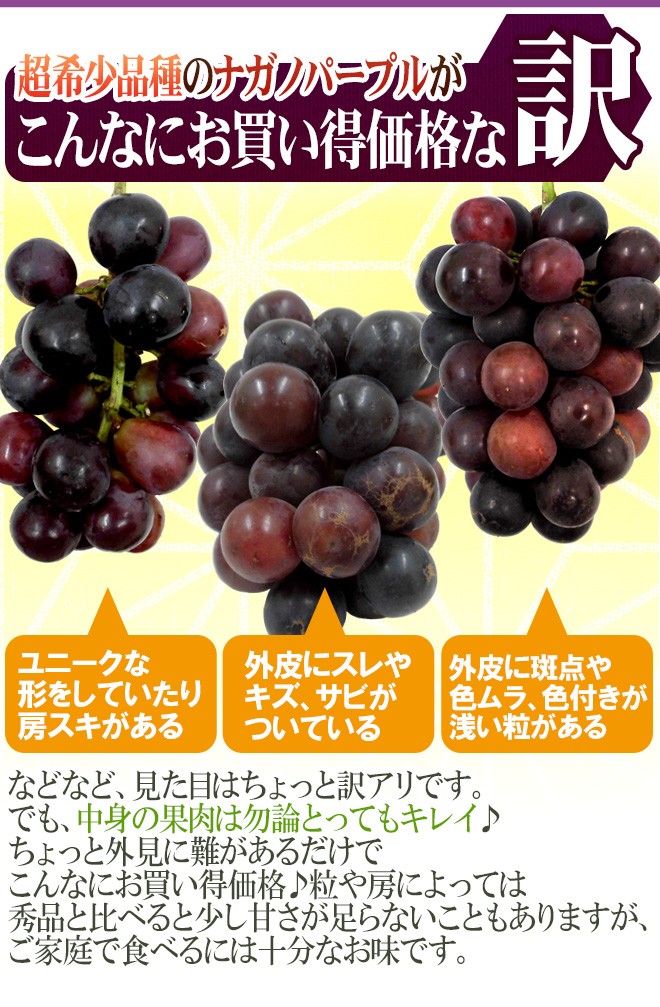 ぶどう 長野産 ”ナガノパープル” 訳あり 約5kg 大きさおまかせ ぶどう