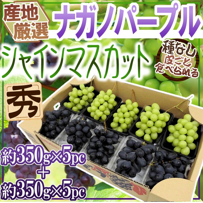 超ポイントアップ祭 ”シャインマスカット ナガノパープル” 秀品 2房 合計約1kg 産地厳選 食べ比べ ぶどう 送料無料