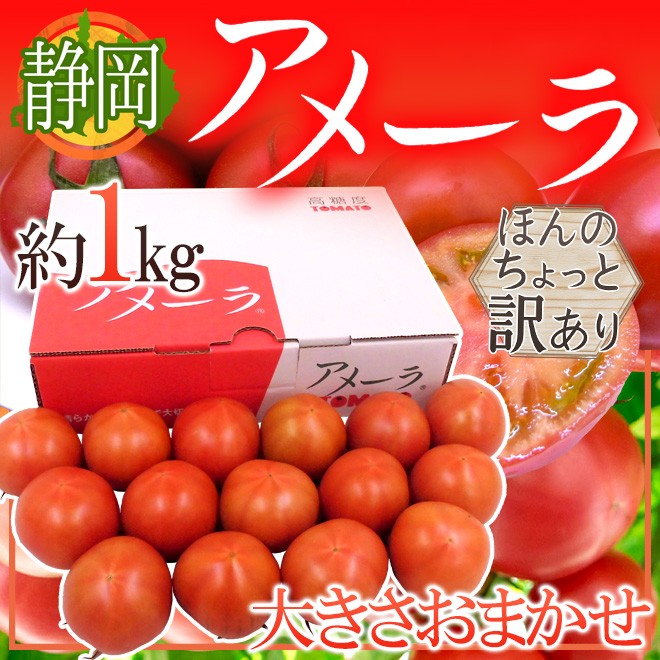 静岡県 ”高糖度フルーツトマト アメーラ” 大きさおまかせ 約1kg ほんのちょっと訳あり 化粧箱入り【予約 入荷次第発送】