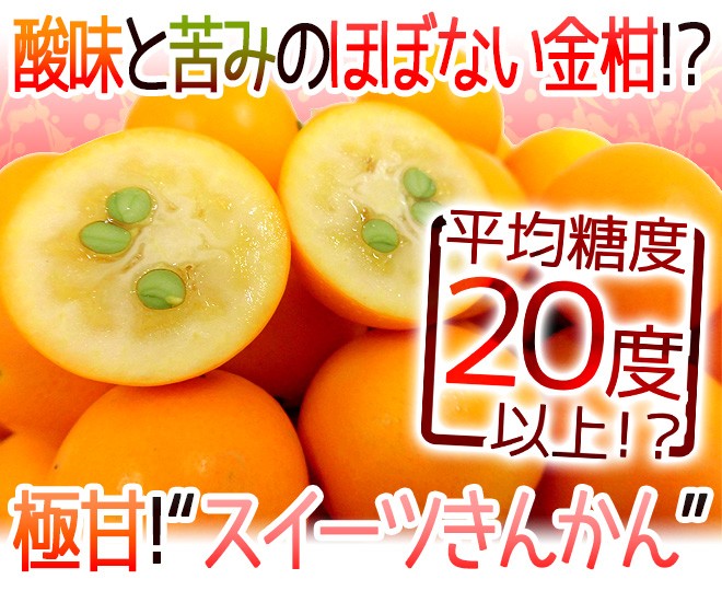 金柑こん太　家庭用4kg 静岡県 ”こん太きんかん” 秀品 2L〜4Lサイズ 約1kg 化粧箱 金柑 まる