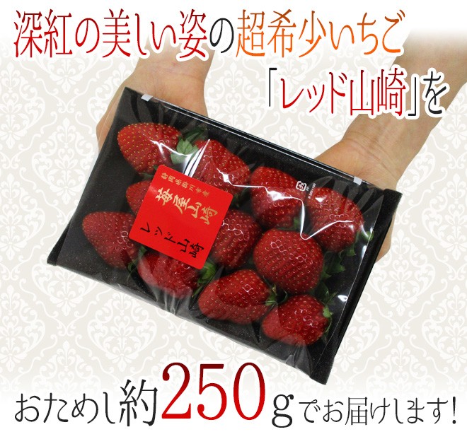 いちご 静岡県 ”苺屋山崎 レッド山崎” 秀品 5〜15粒前後 約250g【予約