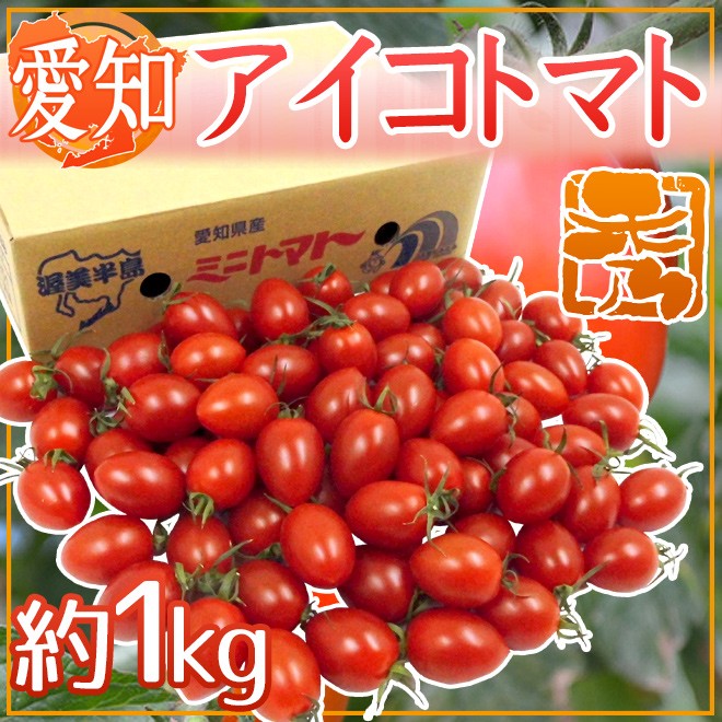 愛知県産 ”アイコトマト” 秀品 約1kg【予約 入荷次第発送】