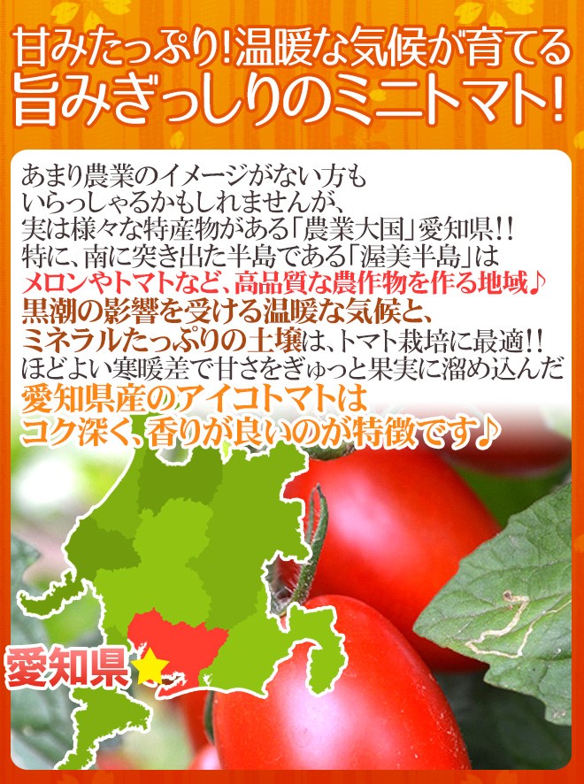 愛知県産 ”アイコトマト” 秀品 約3kg【予約 11月下旬以降】 送料無料 : 1006023-aiko3kg : くらし快援隊 - 通販 -  Yahoo!ショッピング