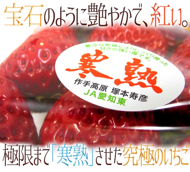 愛知・ファームトヨヒロ産 ”寒熟いちご（完熟イチゴ）” 約300g×2pc 