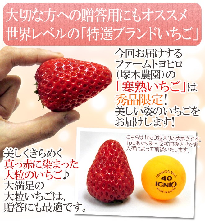 愛知・ファームトヨヒロ産 ”寒熟いちご（完熟イチゴ）” 約300g×2pc 