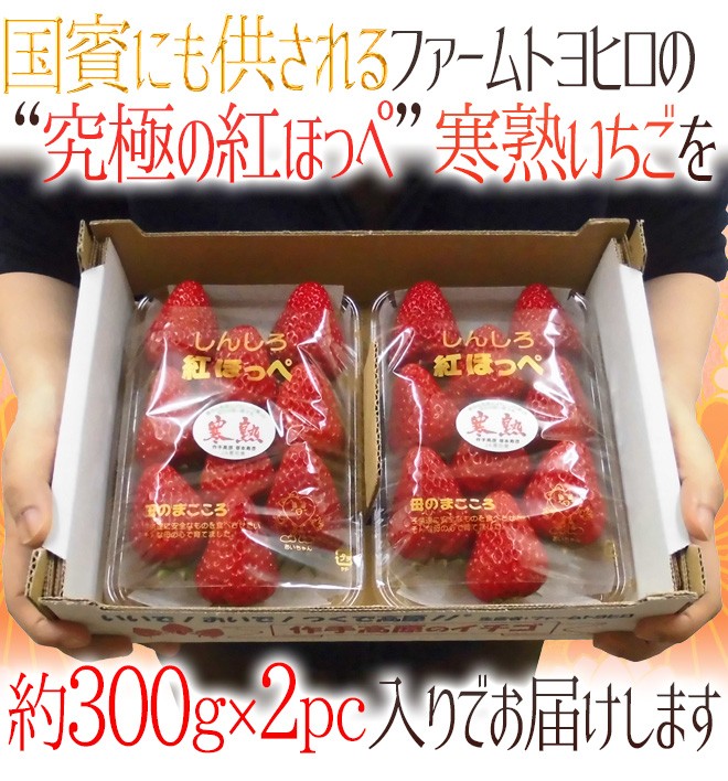 愛知・ファームトヨヒロ産 ”寒熟いちご（完熟イチゴ）” 約300g×2pc 