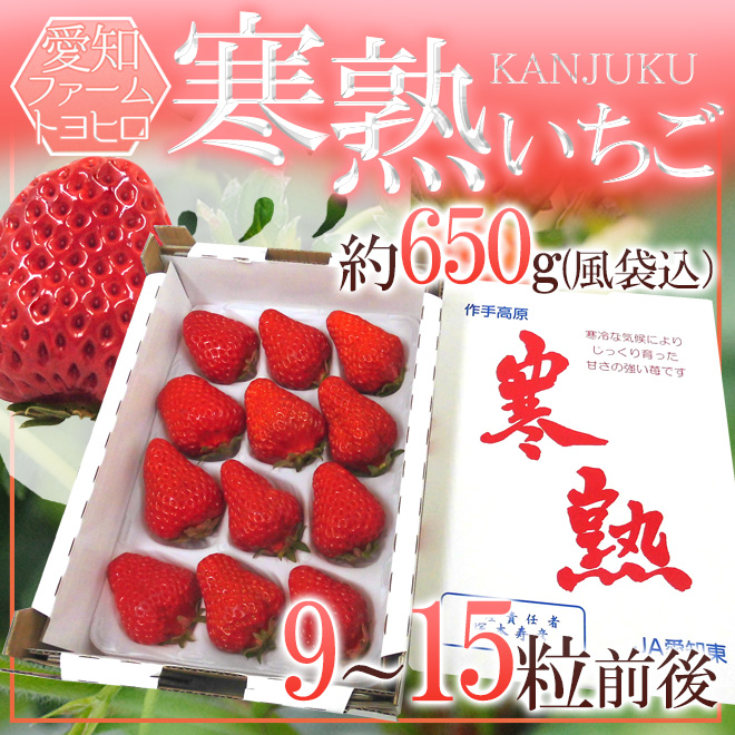 愛知・ファームトヨヒロ産 ”寒熟いちご（完熟イチゴ）” 9〜15粒前後 