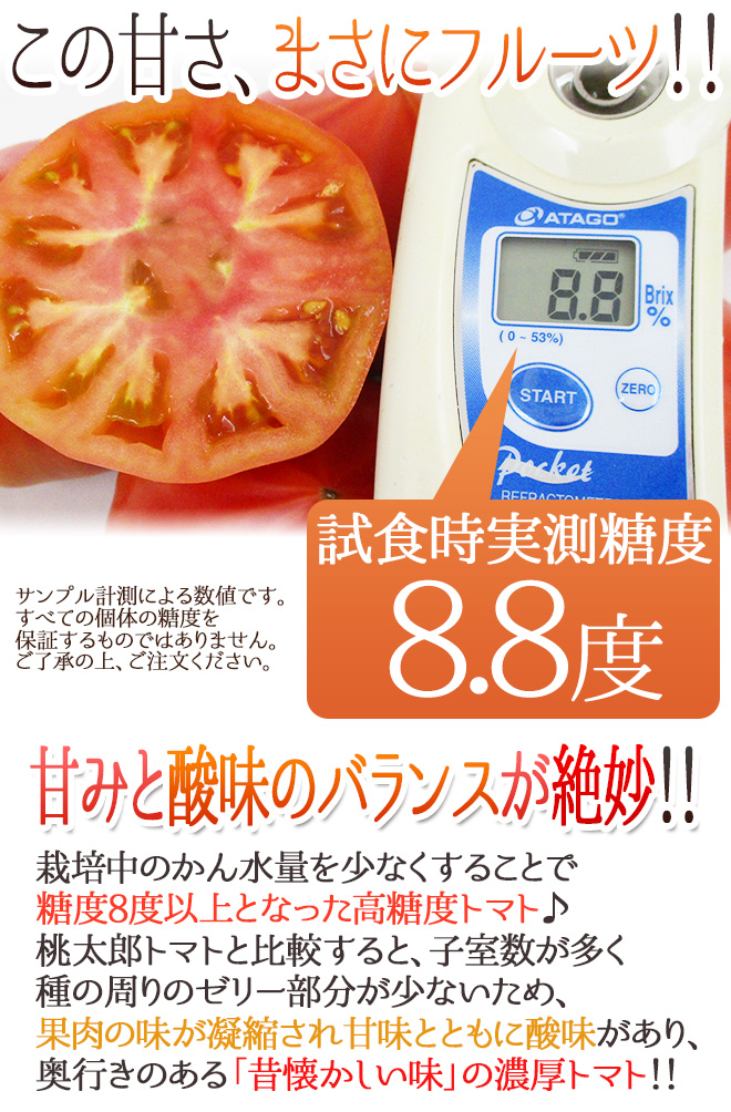愛知県産 ”ファーストトマト 魁” 約1kg 大きさおまかせ 化粧箱