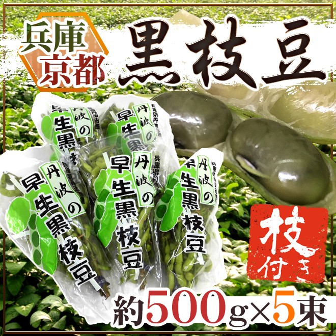 京都・丹波の黒豆 ”夏ずきん” 秀品 約200g×《5袋》（約1kg） 早生黒豆 枝豆 送料無料