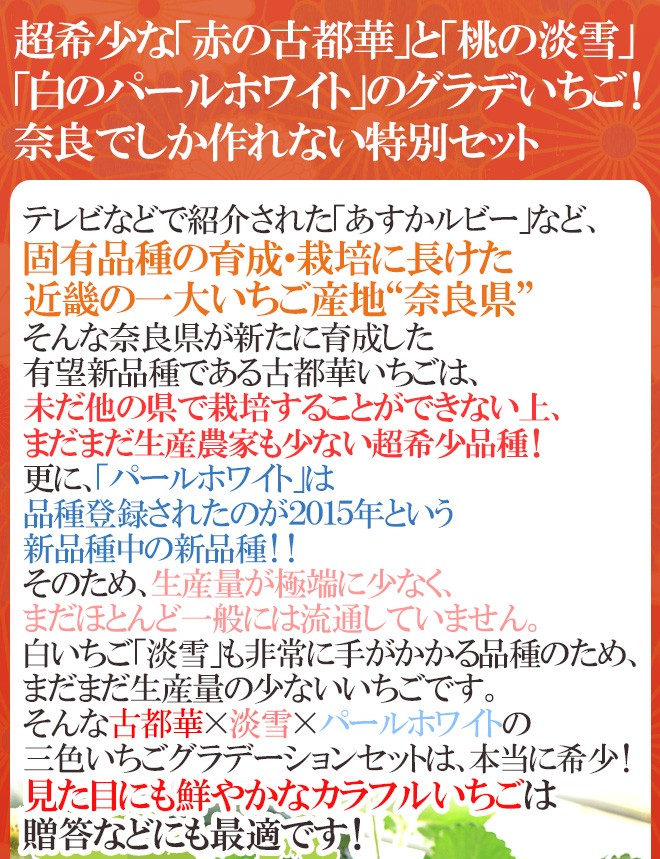 奈良県産 ”三色いちごセット” 2pc（1pcあたり9〜15粒前後 約250g）古都