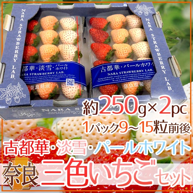 奈良県産 ”三色いちごセット” 2pc（1pcあたり9〜15粒前後 約250g）古都華・淡雪・パールホワイト【予約 12月以降】 送料無料