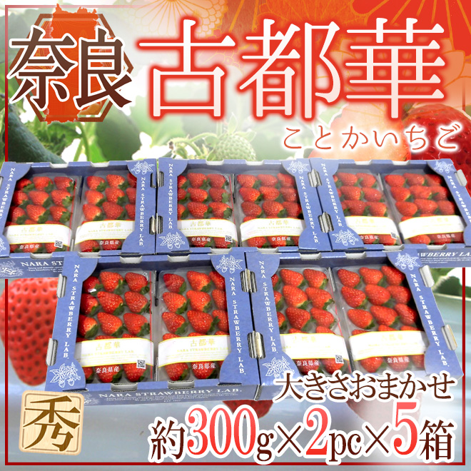 奈良県産 ”古都華いちご” 2pc×《5箱》（1pcあたり 約300g）【予約 12月