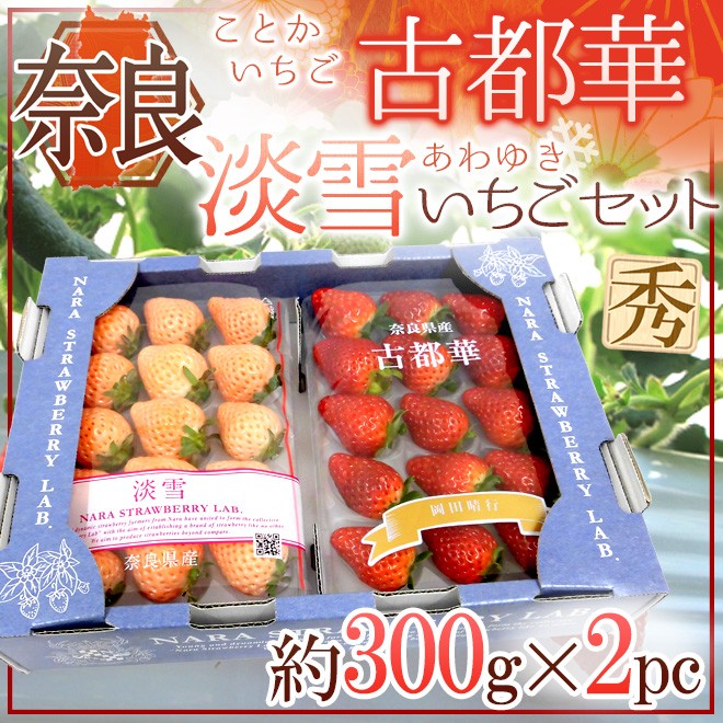 奈良県産 ”白いちご 淡雪いちご＋古都華いちご 紅白セット” 2pc（1pcあたり約300g）【予約 12月以降】 送料無料