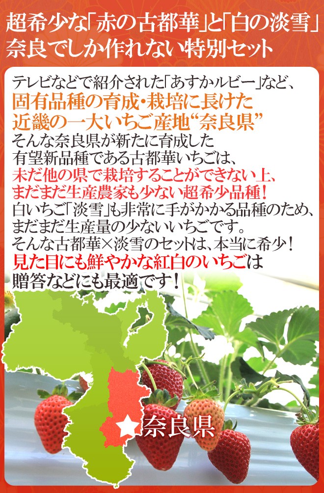 奈良県産 ”白いちご 淡雪いちご＋古都華いちご 紅白セット” 2pc