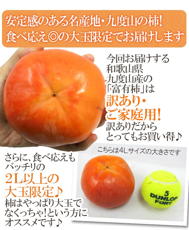 和歌山県九度山産 ”富有柿” 訳あり 2L以上 約7.5kg【予約 11月以降】 送料無料 :2019030-k-huyu-2l3lw:くらし快援隊  - 通販 - Yahoo!ショッピング