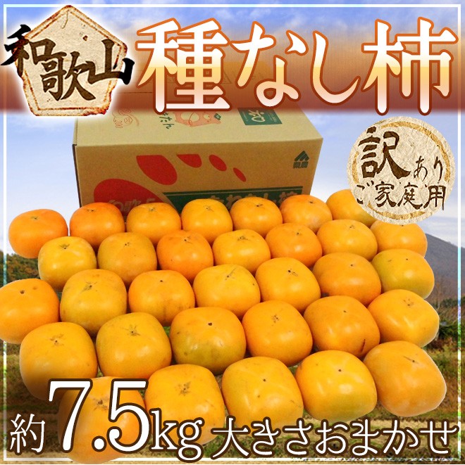 和歌山県産　美味しい　たねなし柿　5kg 硬め　37