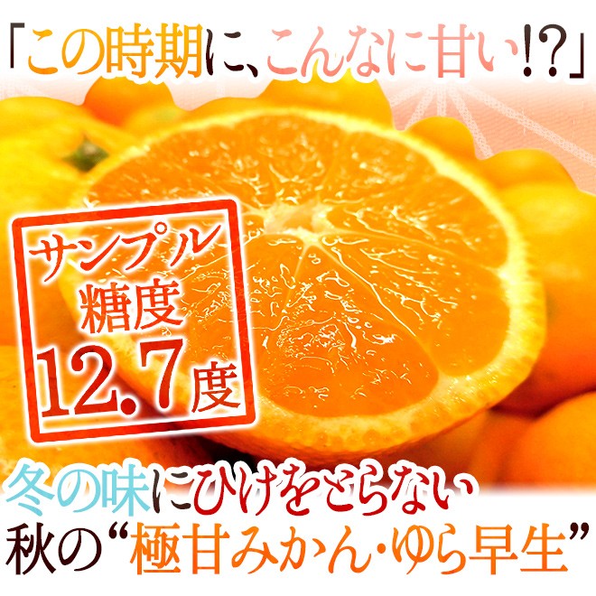 みかん 和歌山産 ”ゆら早生みかん” 秀品 S/Mサイズ 約5kg【予約 10月