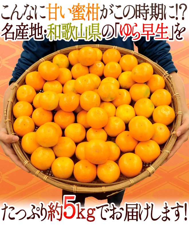 みかん 和歌山産 ”ゆら早生みかん” 秀品 S/Mサイズ 約5kg【予約 10月