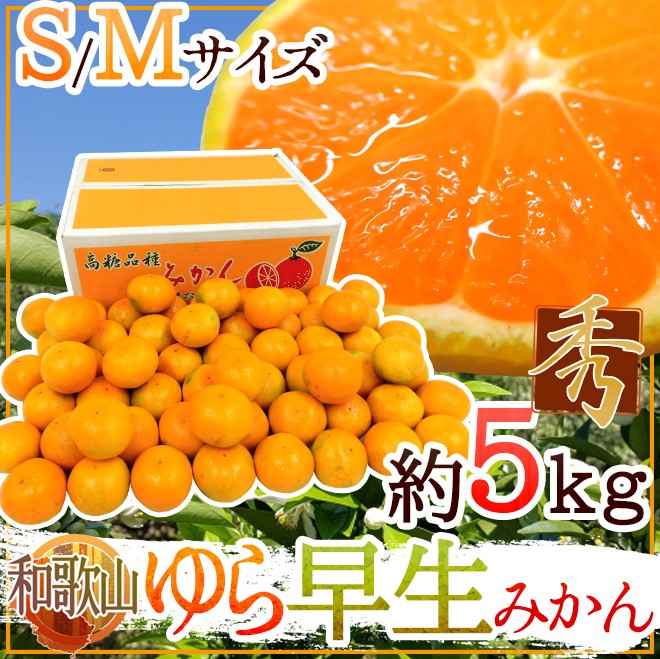 みかん 和歌山産 ”ゆら早生みかん” 秀品 S/Mサイズ 約5kg【予約 10月