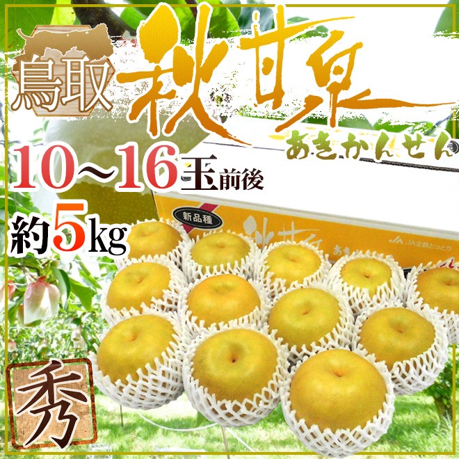 鳥取県 ”秋甘泉梨” 秀品 10〜16玉前後 約5kg【予約 9月以降