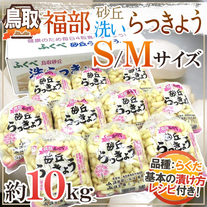 洗いらっきょう 鳥取 JAいなば 福部産 ”砂丘らっきょう” S/Mサイズ 約
