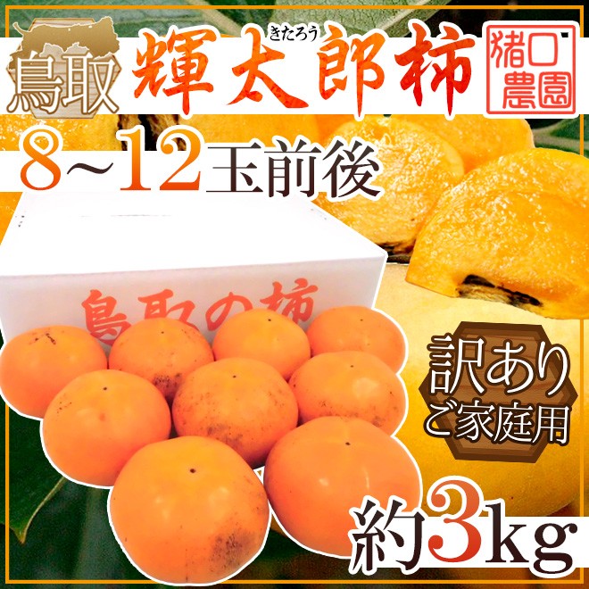 鳥取県 猪口農園 ”輝太郎柿” 訳あり 8〜12玉前後 約3kg【予約 10月下旬以降】 送料無料