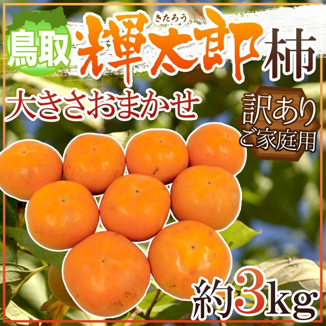 鳥取県産 秀品 輝太郎 柿 大きさおまかせ 約3kg