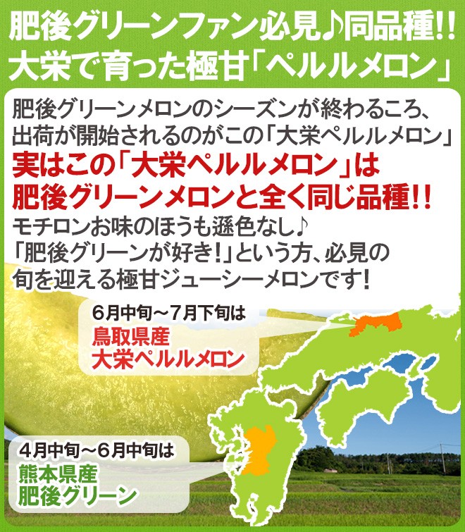 メロン 鳥取県 ”大栄ペルルメロン” 秀 優品 新色追加して再販 約5kg 予約 6月下旬以降 送料無料 2～6玉