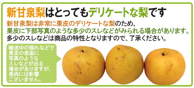 梨　新甘泉　家庭用　10㎏ 梨 10kg 新甘泉梨 鳥取産 ご家庭用 送料無料 食品 : 花と緑 国