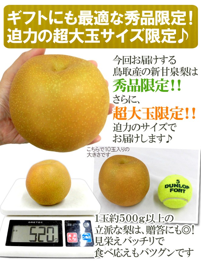 鳥取県産　新甘泉　10～18玉　約5キロ　秀品　 ※クール便発送 51Ohgbu9JXL._AC_UF1000,