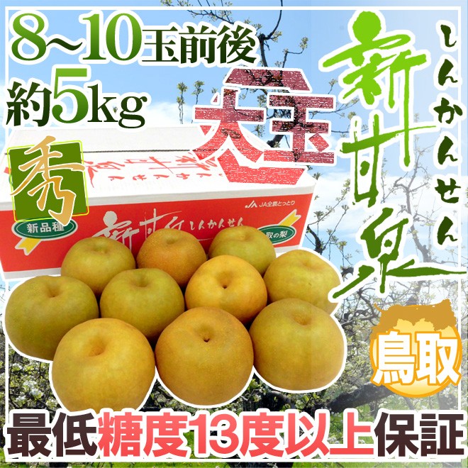 ⚠️gem gem17⚠️茨城県産　梨/甘ひびき　秀品/5キロ ⚠️gem gem17⚠️茨城県産 梨/甘ひびき 秀品/5キロ 茨城県