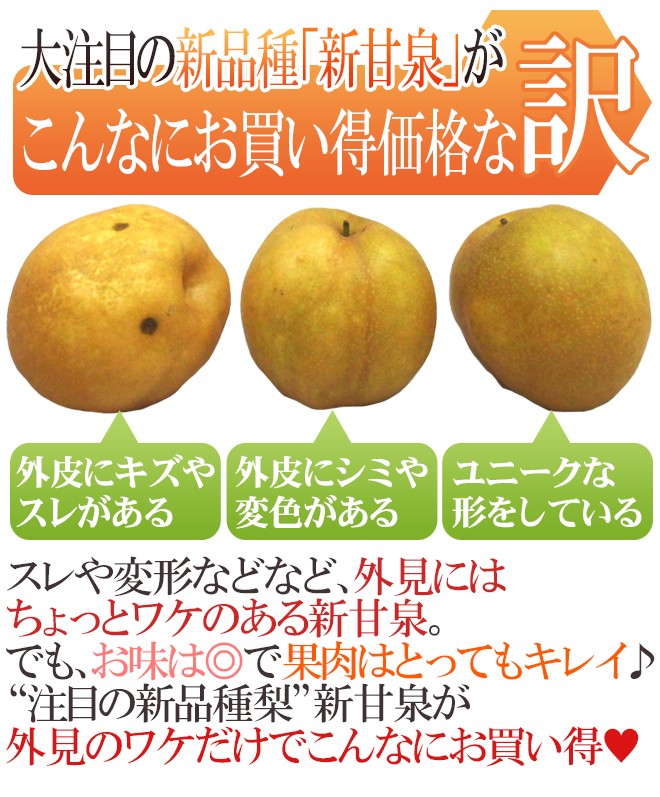 鳥取産 ”新甘泉（しんかんせん）梨” 訳あり 約10kg 大きさおまかせ