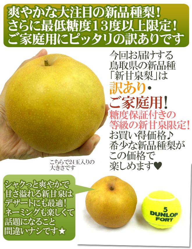 鳥取産 ”新甘泉（しんかんせん）梨” 訳あり 約10kg 大きさおまかせ