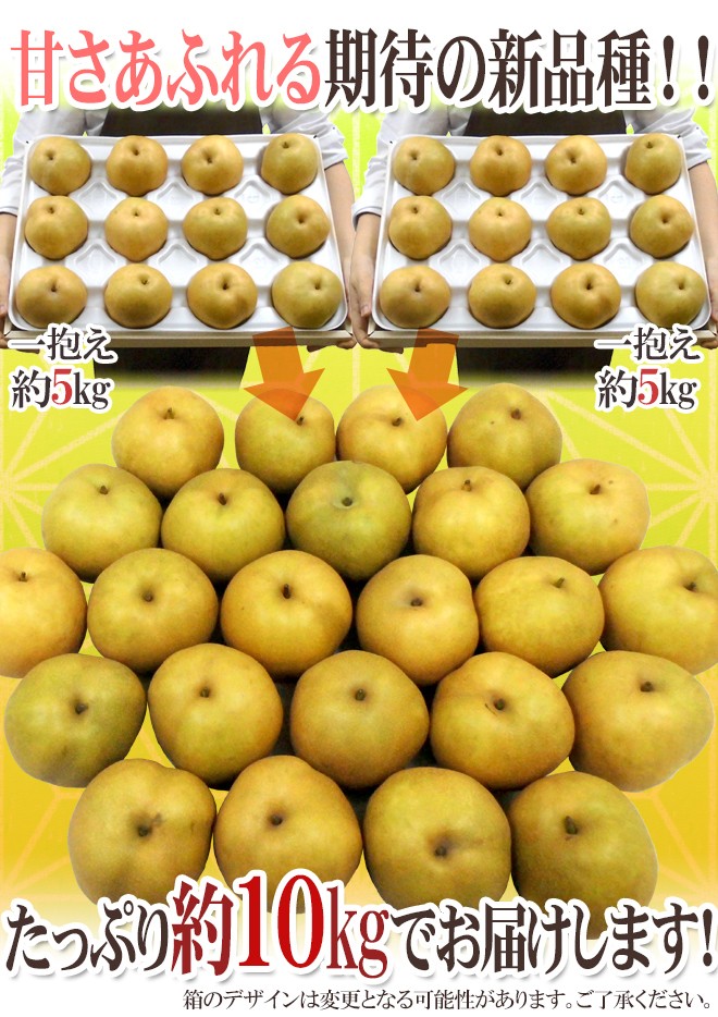 鳥取産 ”新甘泉（しんかんせん）梨” 訳あり 約10kg 大きさおまかせ