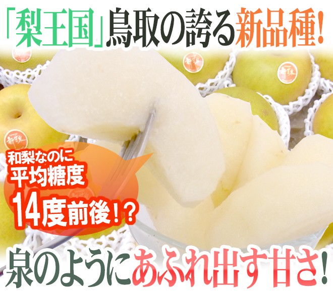 梨　新甘泉　家庭用　10㎏ 梨 10kg 新甘泉梨 鳥取産 ご家庭用 送料無料 食品 : 花と緑 国