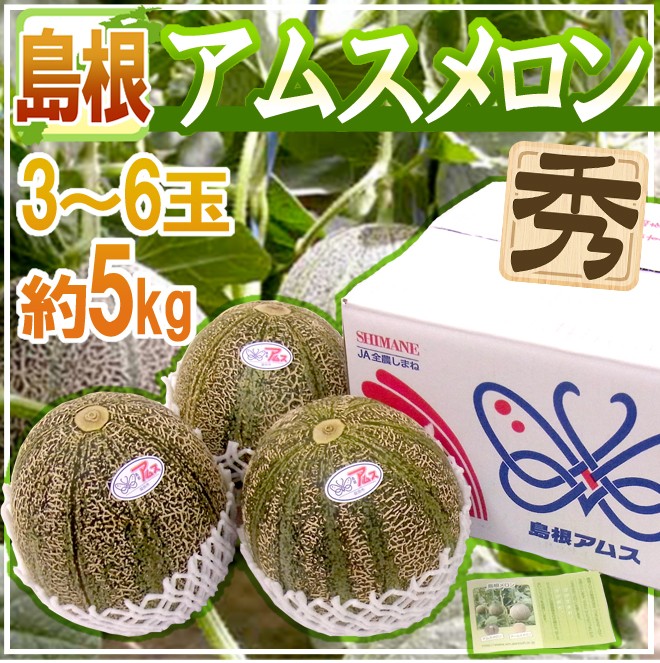 メロン 島根産 ”アムスメロン” 秀品 大玉 3〜6玉 約5kg【予約 6月以降 