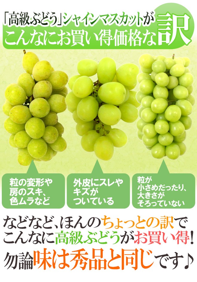 岡山産 ”シャインマスカット「晴王」” 訳あり 約2kg 大きさおまかせ