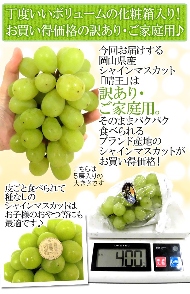 シャインマスカット「晴王」2kg（ご家庭用）② ※8/12に岡山から発送します！ シャインマスカット 岡山 晴王 優品 2房 計800g お中元