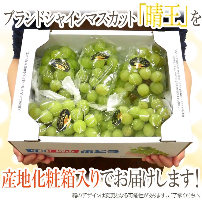 岡山産 ”シャインマスカット「晴王」” 訳あり 約2kg 大きさ