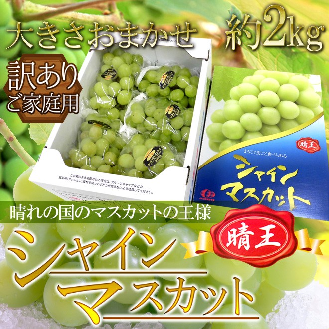 岡山産 ”シャインマスカット「晴王」” 訳あり 約2kg 大きさ
