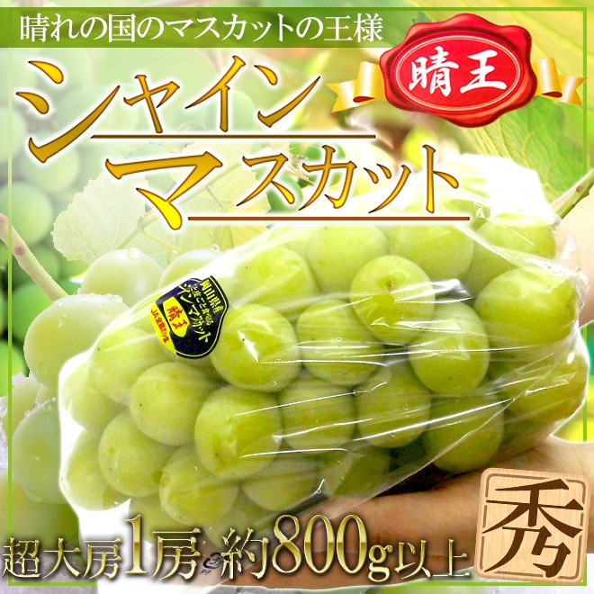 岡山産 ”シャインマスカット「晴王」” 超大房1房 約800g以上 ぶどう【予約 7月下旬以降】