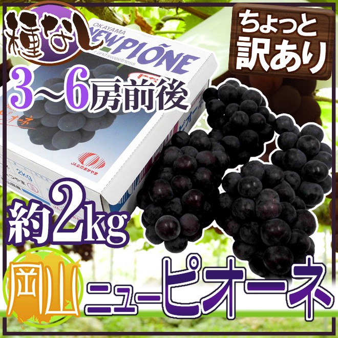 ぶどう 岡山産 ”種なしニューピオーネ” 3〜6房前後 約2kg ちょっと訳あり 化粧箱《2箱購入で送料無料もしくは1kgおまけ》【予約 9月以降】  : 2020033-pione2kgwz : くらし快援隊 - 通販 - Yahoo!ショッピング